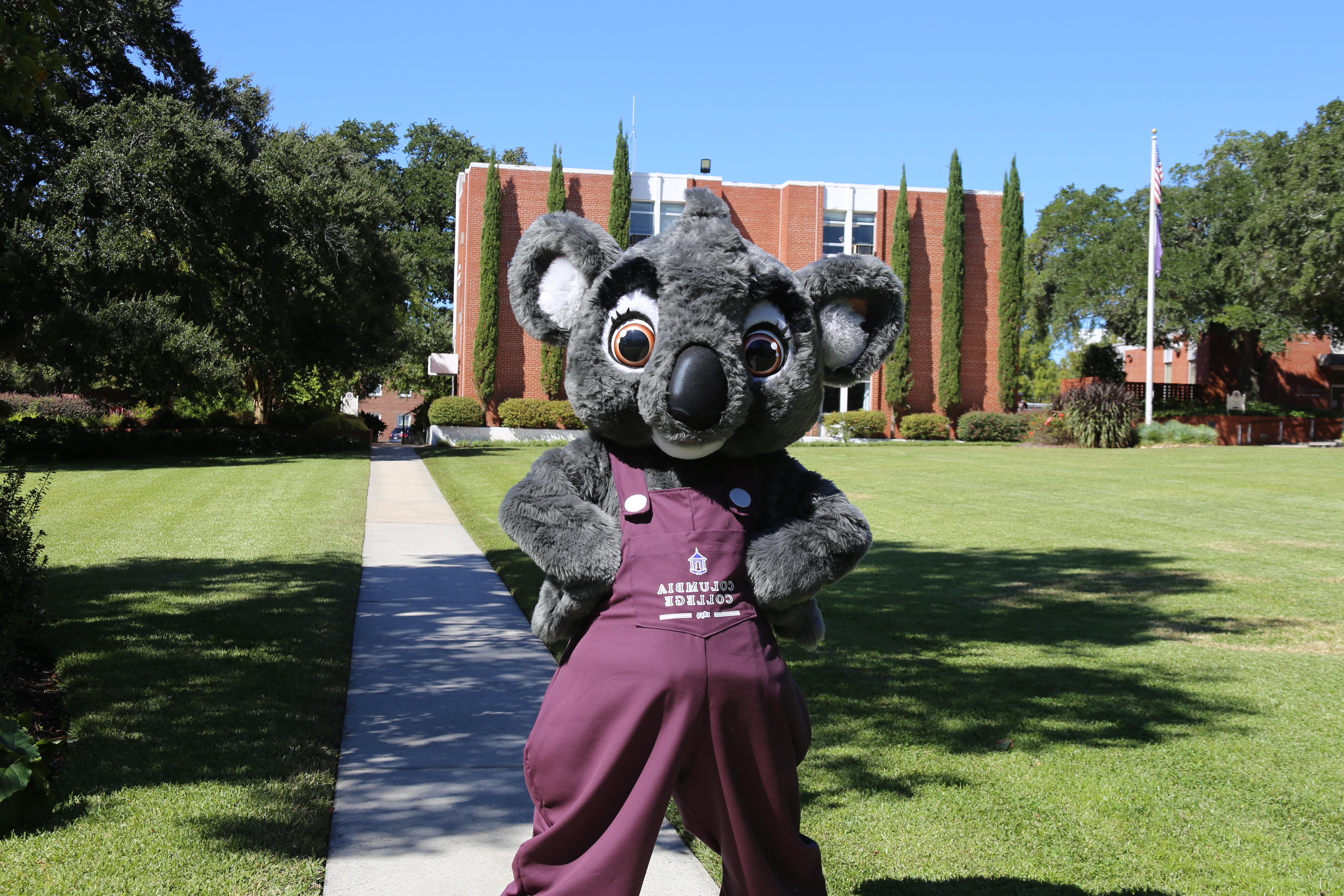 An image of the Columbia College Mascot, 测测 the Koala.